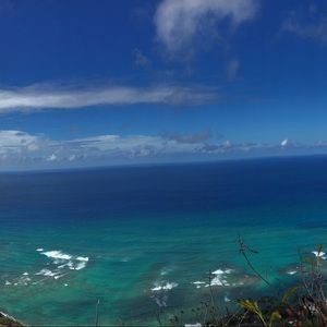 Meet your Posher, Ariel